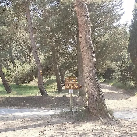 فيلة Lumineuse Au Pied De La Pinede *