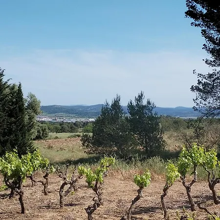 Lumineuse Au Pied De La Pinede فيلة Lézignan-Corbières