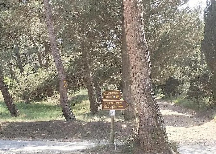 فيلة Lumineuse Au Pied De La Pinede *