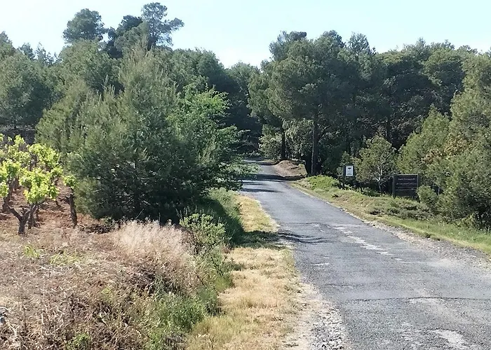 Lumineuse Au Pied De La Pinede فيلة