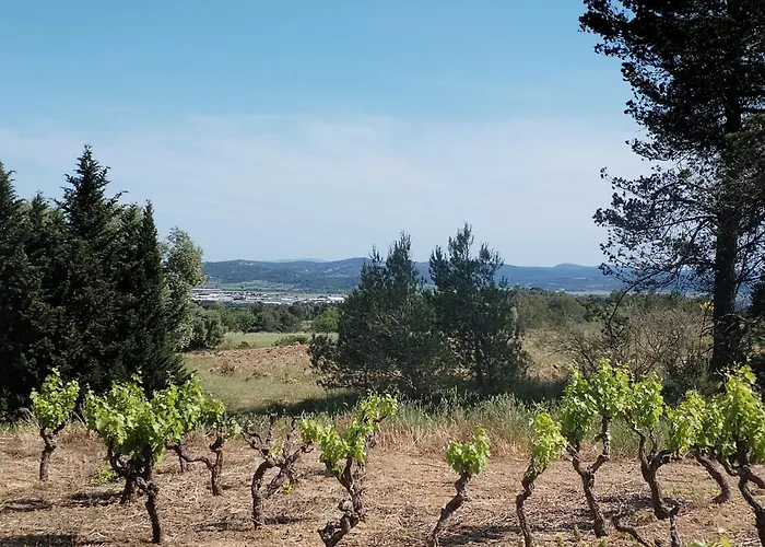 Lumineuse Au Pied De La Pinede فيلة Lézignan-Corbières